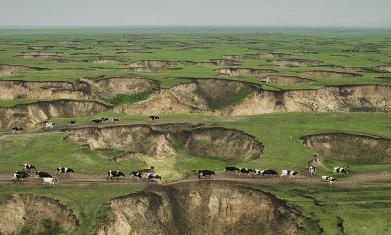内蒙呼伦贝尔草原疑因无序采矿出现上千沉陷坑